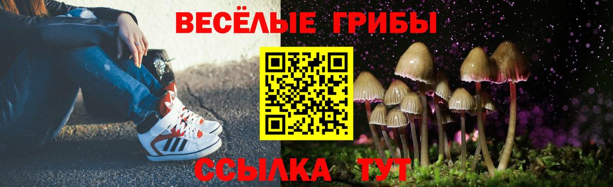 Галлюциногенные грибы Psilocybe  Псилоцибиновые грибы ЛСД  Жуковский  Вход с VPN 